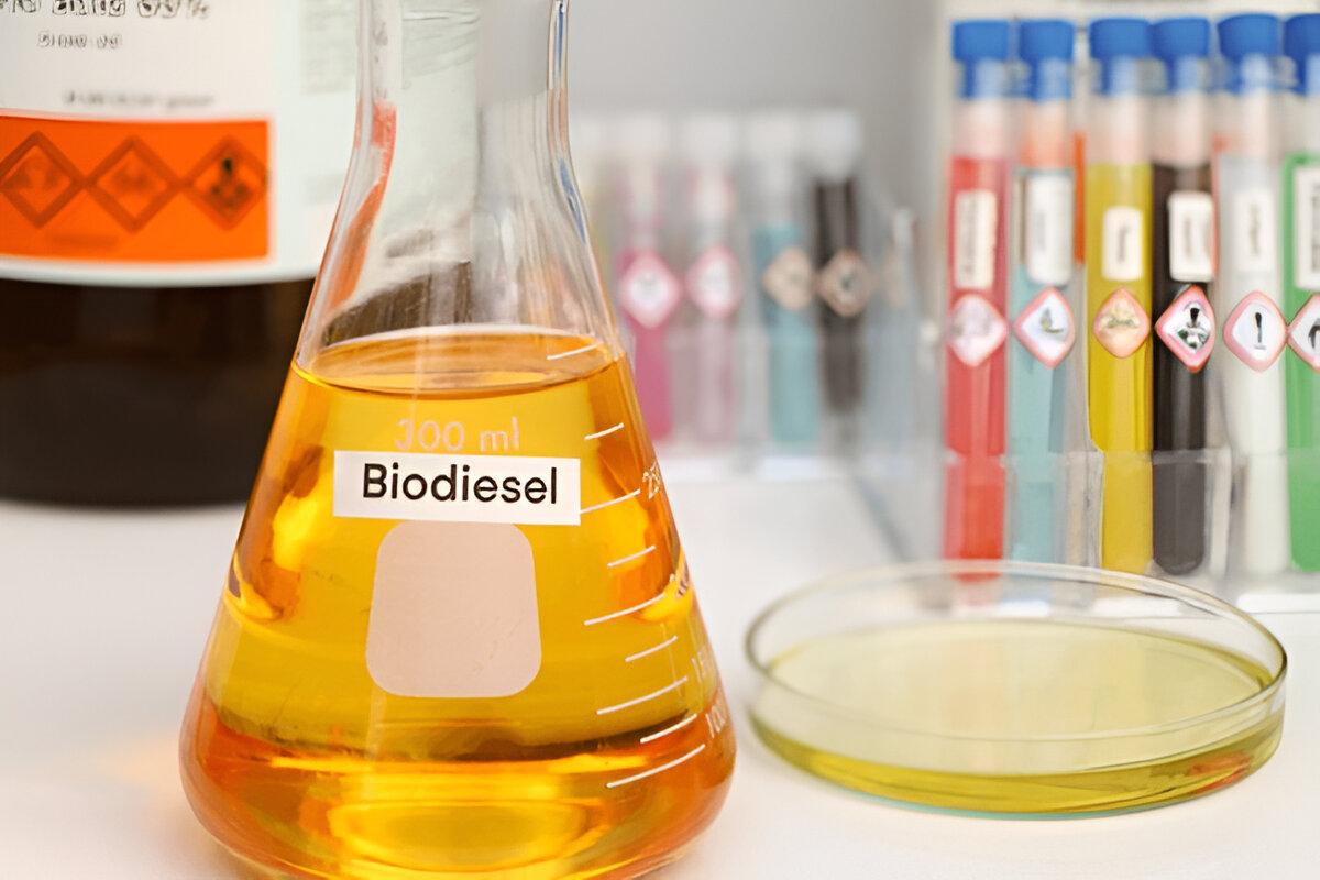 Bio-desiel(B100)